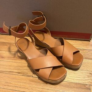 Everlane Wooden Clog Platform Leather Sandals